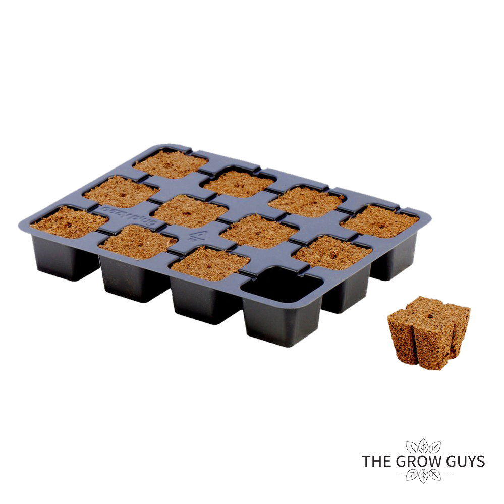 Square Cubes by Eazy Plug – Fast, Fuss-Free Propagation Plugs