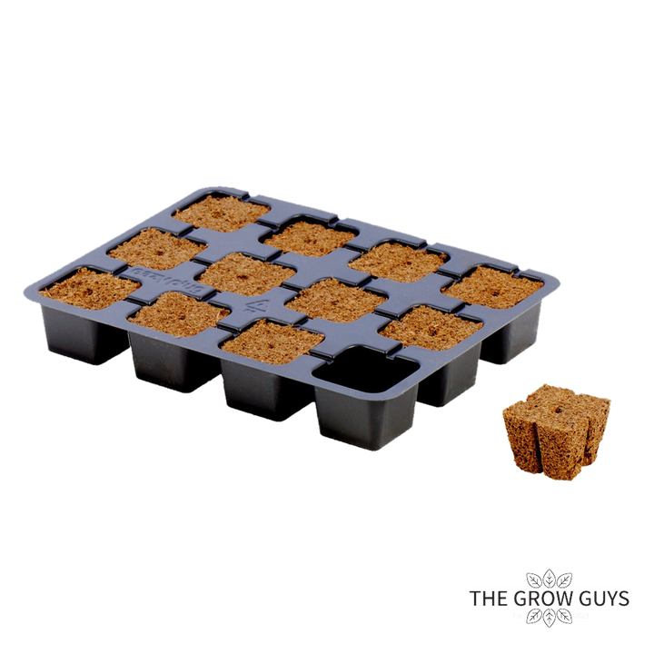 Square Cubes by Eazy Plug – Fast, Fuss-Free Propagation Plugs
