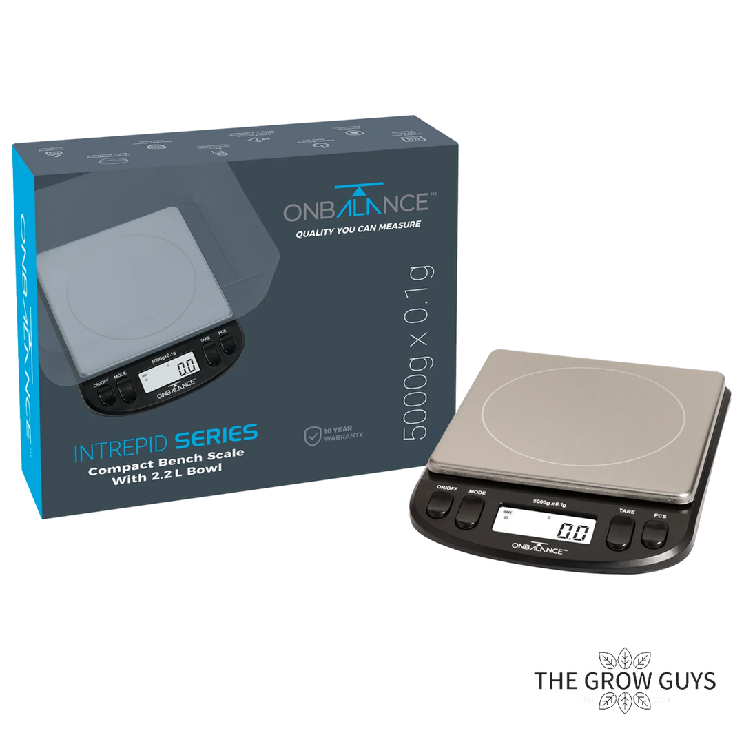 Table Top Scale 5000g × 0.1g by On Balance - precision bench weighing scale
