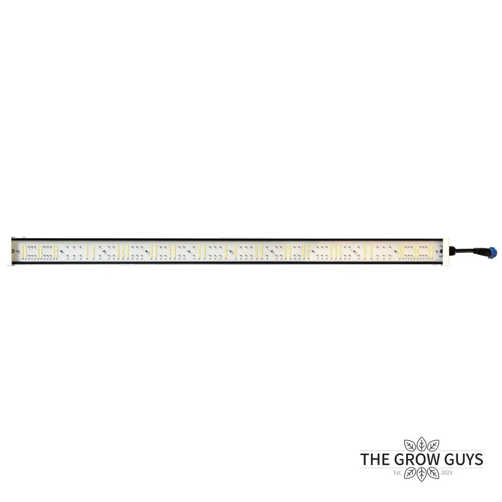 Tarantula Volcano Underlight 2 × 120W by Grand Master LED – Canopy Booster LED