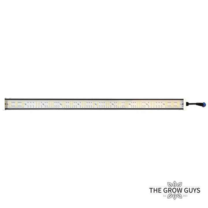 Tarantula Volcano Underlight 2 × 120W by Grand Master LED – Canopy Booster LED