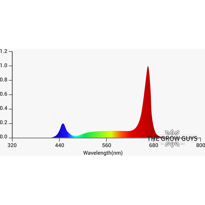 Tarantula Volcano Underlight 2 × 120W by Grand Master LED – Canopy Booster LED