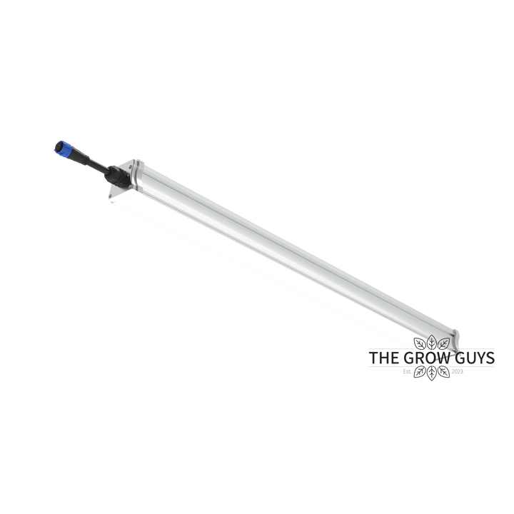 Tarantula Volcano Underlight 2 × 120W by Grand Master LED – Canopy Booster LED