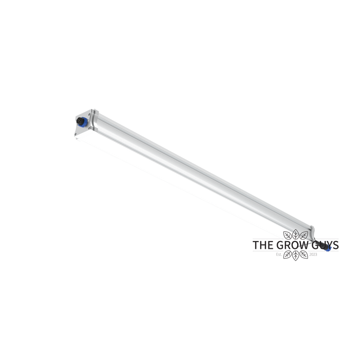 Tarantula Volcano Underlight 2 × 120W by Grand Master LED – Canopy Booster LED