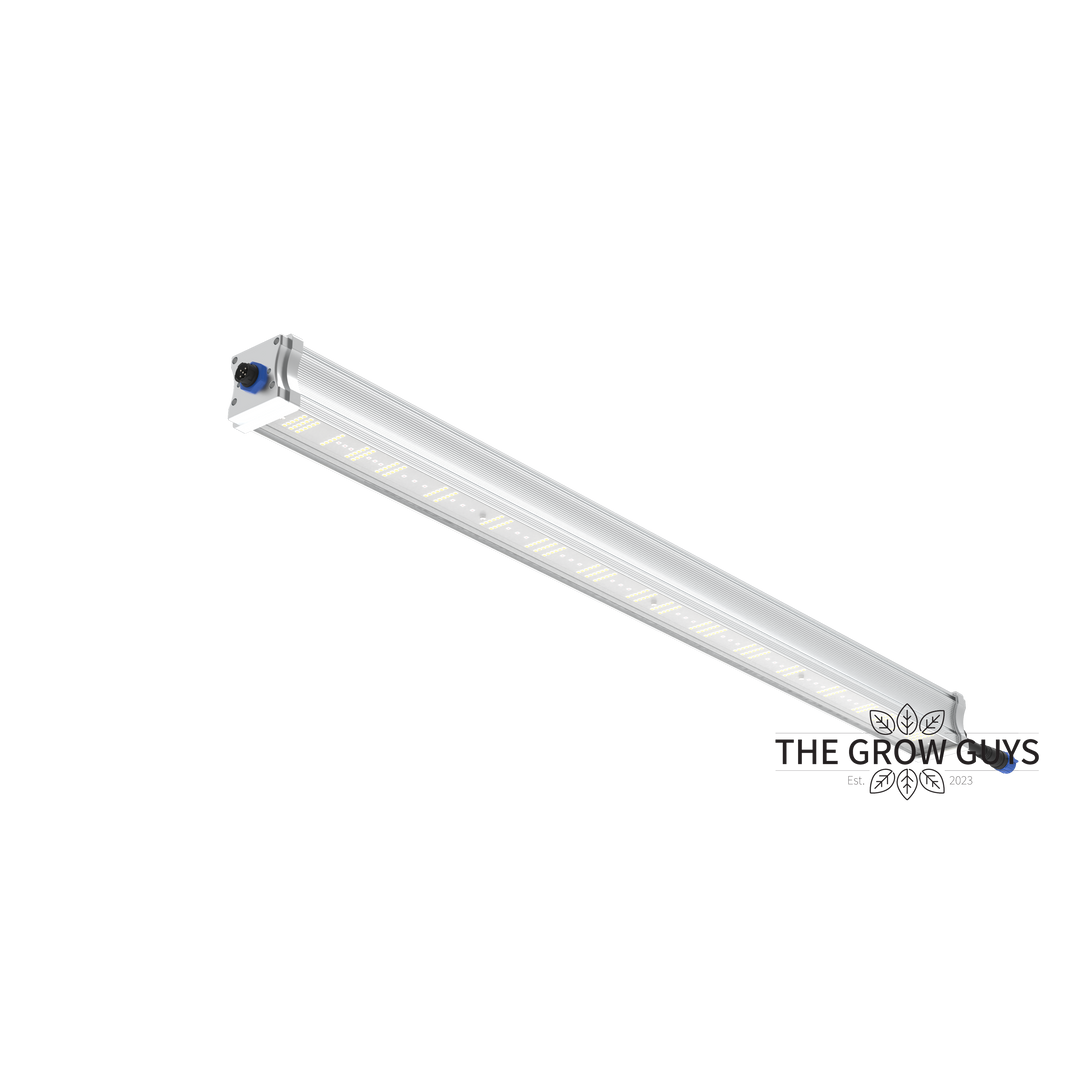 Tarantula Volcano Underlight 2 × 120W by Grand Master LED – Canopy Booster LED