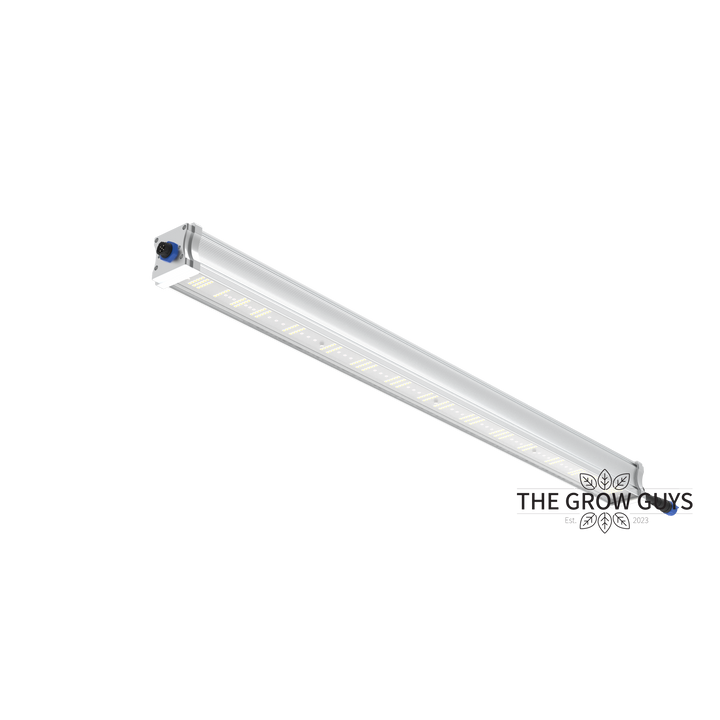 Tarantula Volcano Underlight 2 × 120W by Grand Master LED – Canopy Booster LED