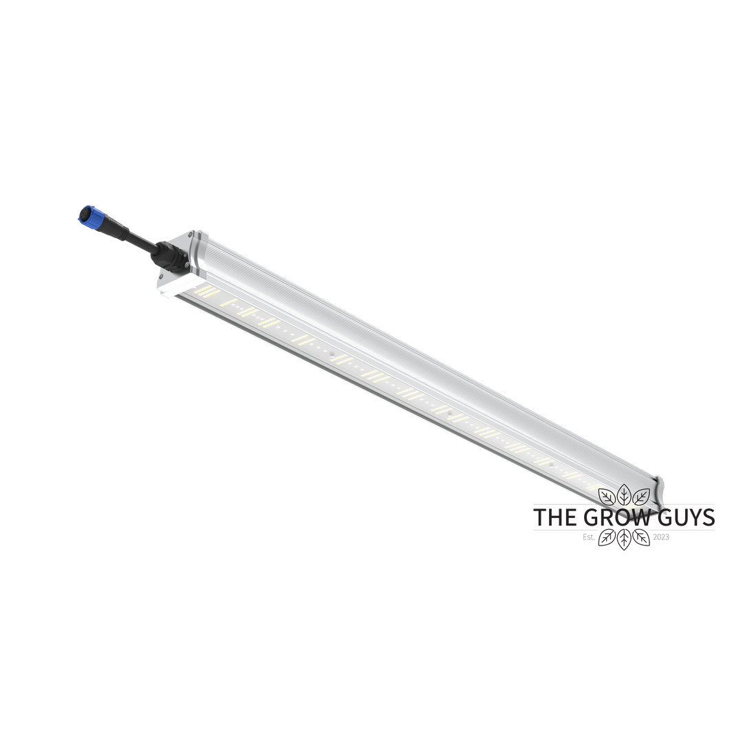 Tarantula Volcano Underlight 2 × 120W by Grand Master LED – Canopy Booster LED