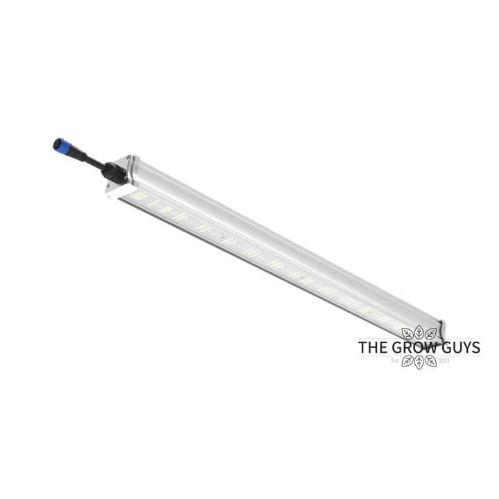 Tarantula Volcano Underlight 2 × 120W by Grand Master LED – Canopy Booster LED