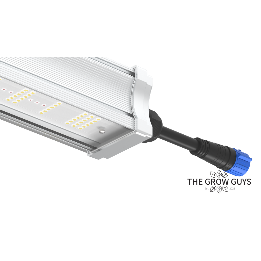 Tarantula Volcano Underlight 2 × 120W by Grand Master LED – Canopy Booster LED