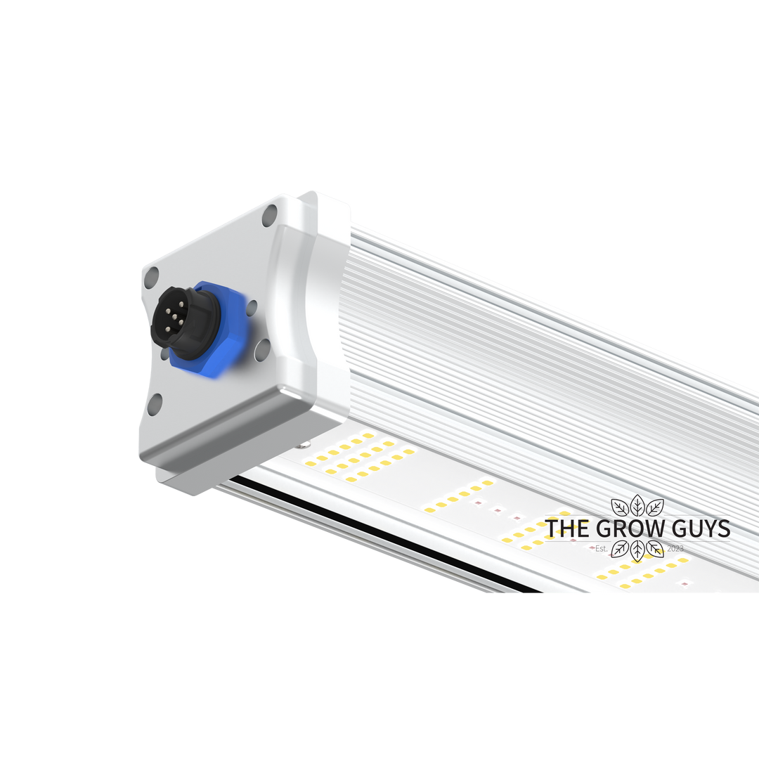 Tarantula Volcano Underlight 2 × 120W by Grand Master LED – Canopy Booster LED