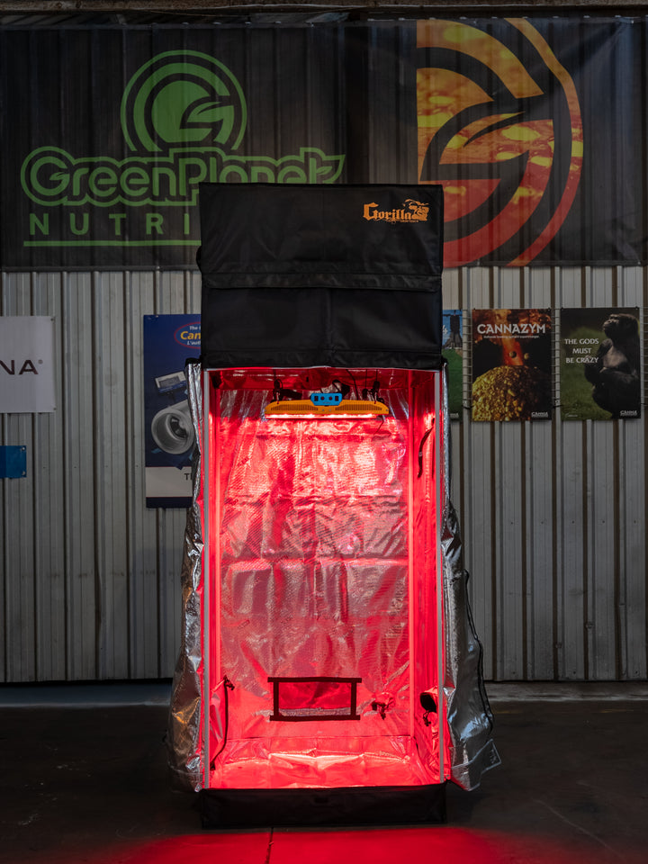 Black Grow Tent with red interior light on a wall with various posters