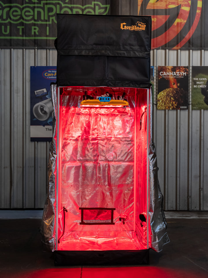 Black grow tent with red interior light on a dark background