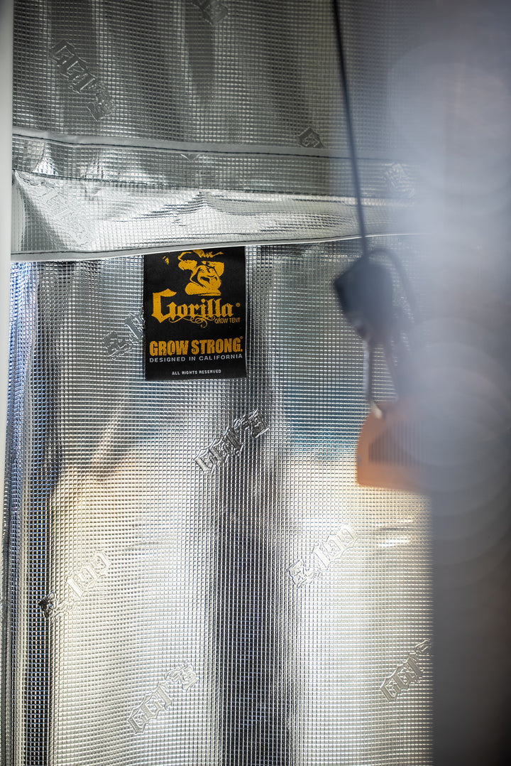 Person adjusting a Gorilla Grow Strong tent with reflective mylar on a blurred background