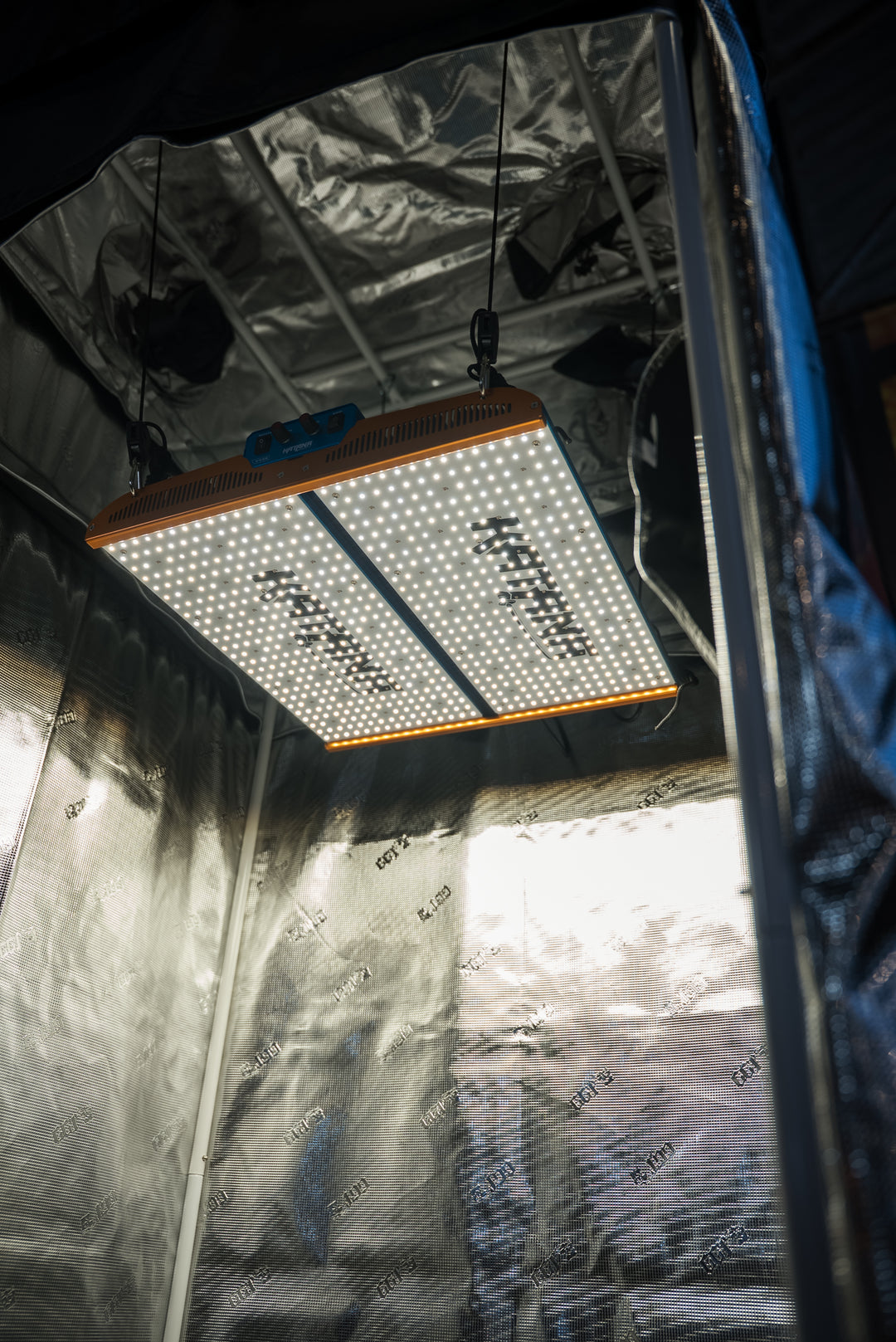 LED grow light hanging inside a greenhouse with reflective walls.