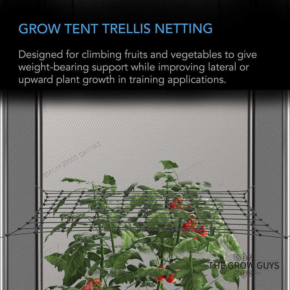 Trellis Netting by AC Infinity — Elastic Scrog Net for Grow Tents (2x2 to 5x5)