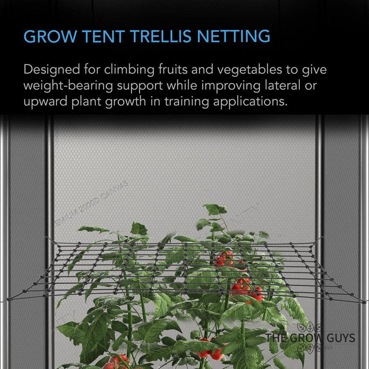 Trellis Netting by AC Infinity — Elastic Scrog Net for Grow Tents (2x2 to 5x5)
