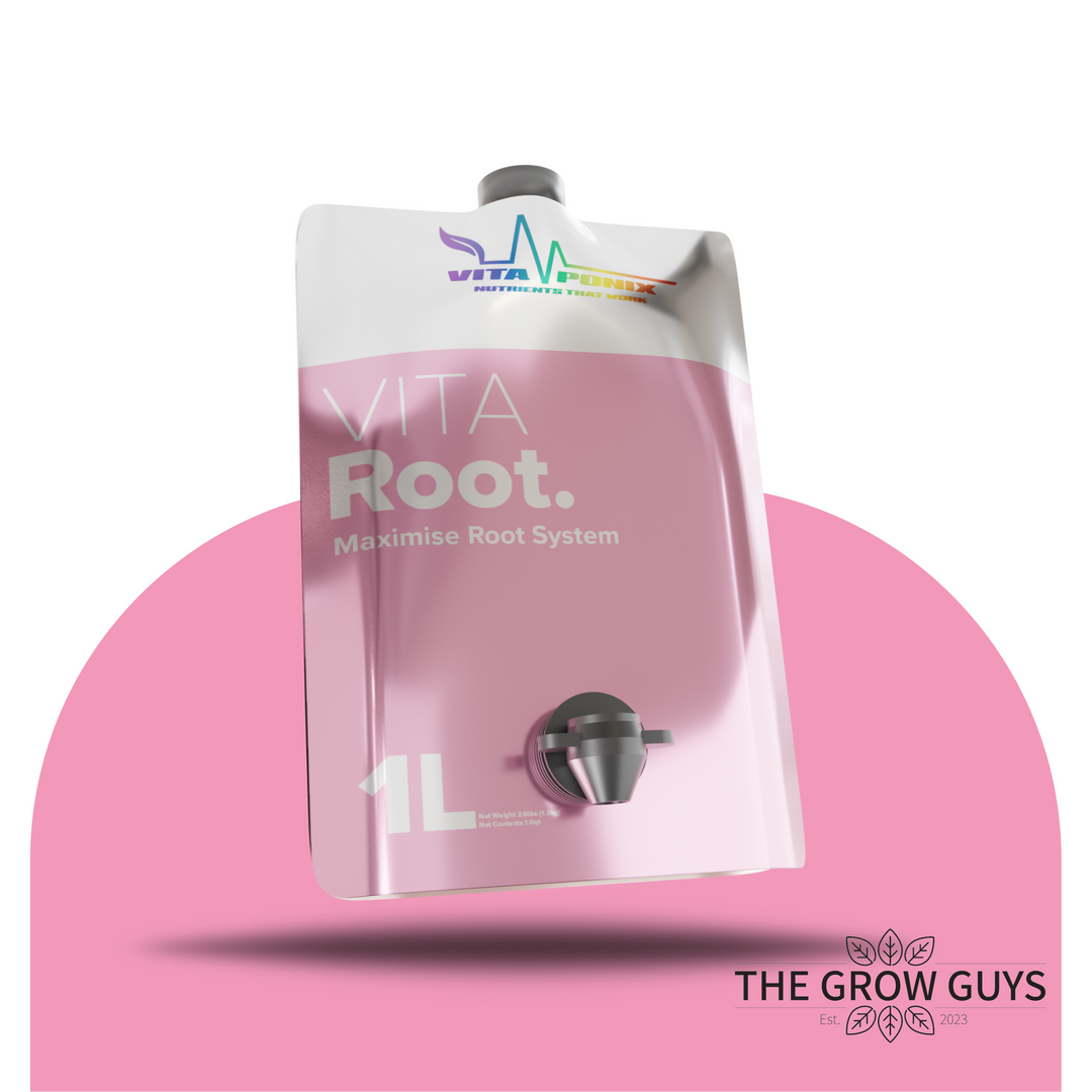 Vita Root by VitaPonix