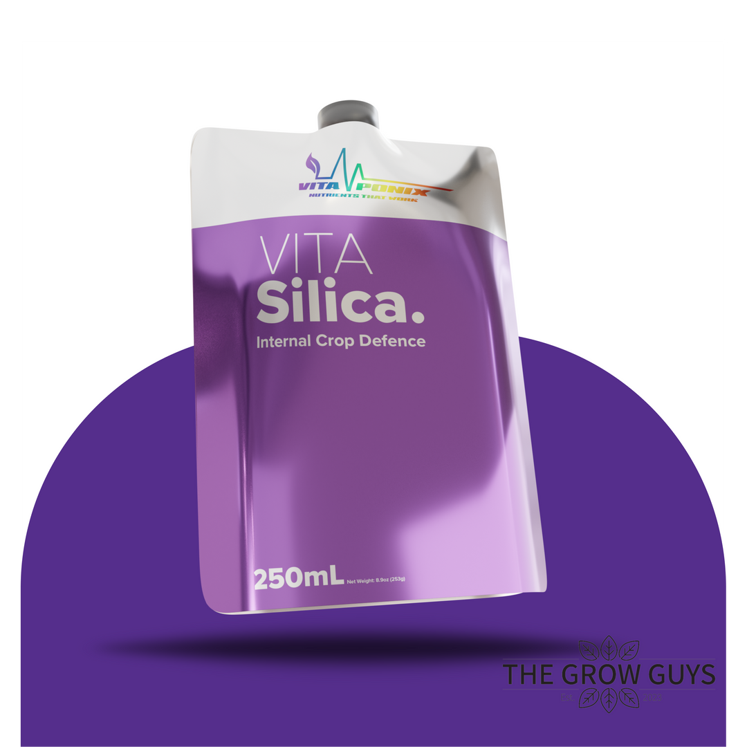 Vita Silica by VitaPonix