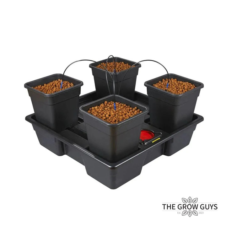 Wilma / Origin System (Multiple Sizes) by Nutriculture
