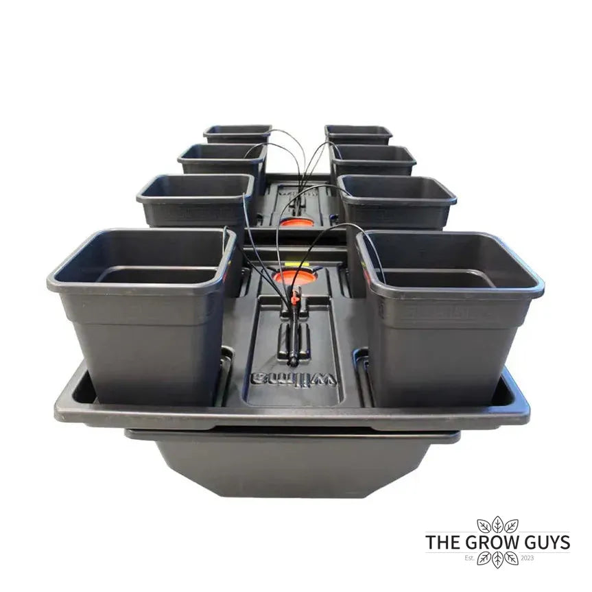 Wilma / Origin System (Multiple Sizes) by Nutriculture