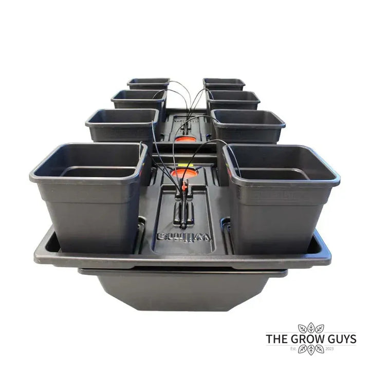 Wilma / Origin System (Multiple Sizes) by Nutriculture