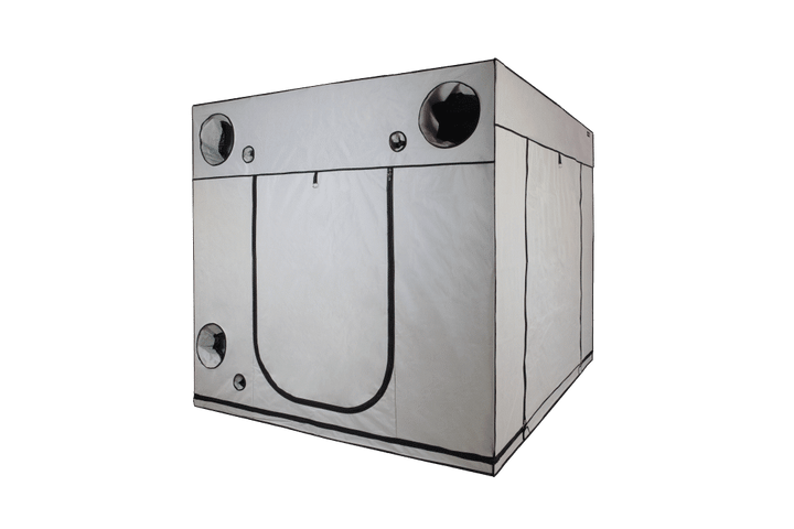 2.4 x 2.4 x 2.2m Grow Tent — Ambient Q240+ by HOMEbox