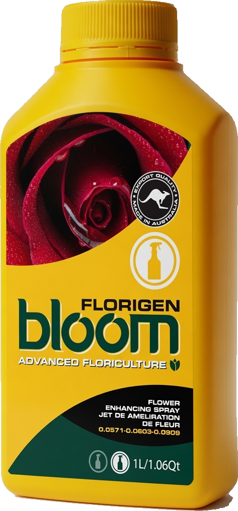Bloom Florigen yellow bottle, foliar flower spray for the flip by Bloom Yellow Bottles