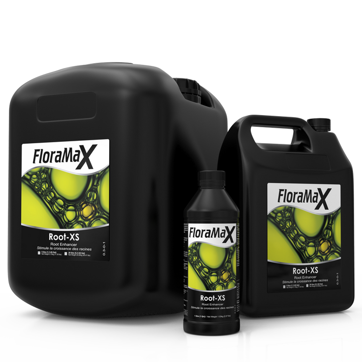 Root-XS