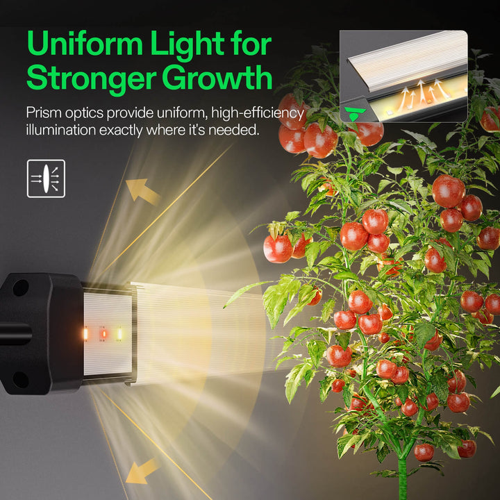 LumaRay prism optical lens spreading uniform light across the side of a plant