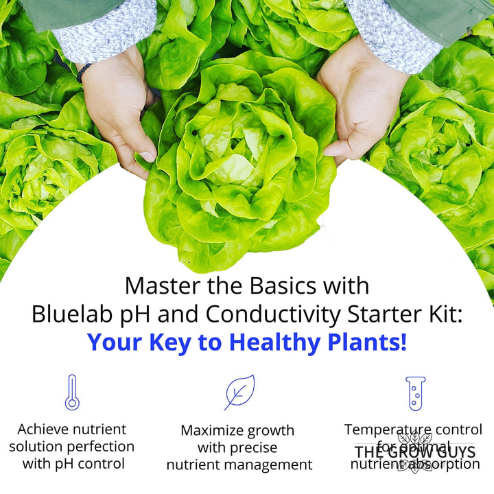 pH & Conductivity Starter Pack by Bluelab — Complete pH, EC & Temperature Testing Kit