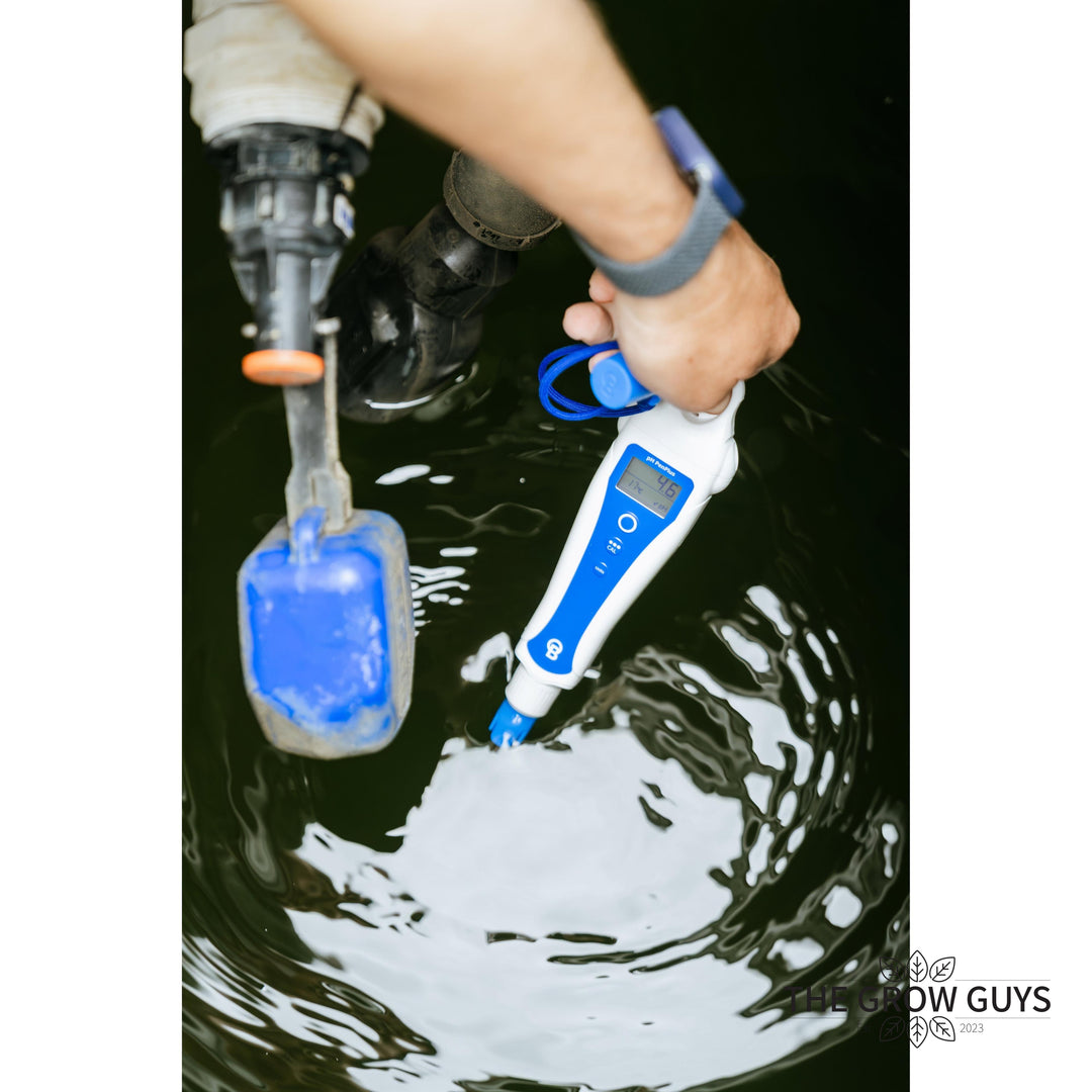 pH PenPlus by Bluelab — Replaceable Probe pH & Temperature Meter