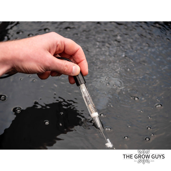 pH Probe by Bluelab — 2m BNC Replacement Probe for Bluelab Meters, Monitors & Controllers