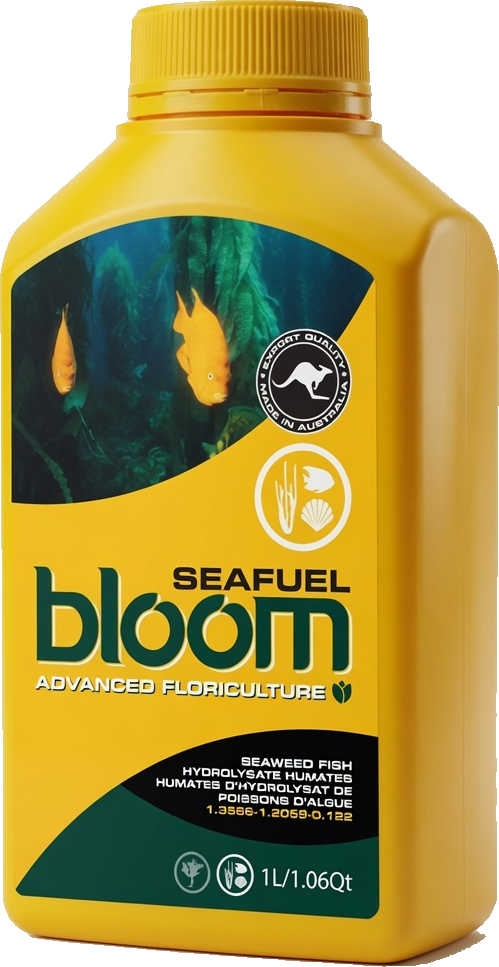 Bloom Seafuel yellow bottle, kelp, fish and humate plant tonic by Bloom Yellow Bottles