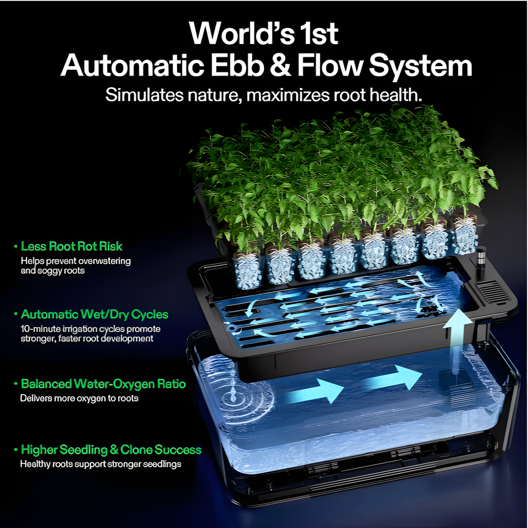 VSeed S40 automatic ebb and flow irrigation cutaway showing the tray flooding and draining