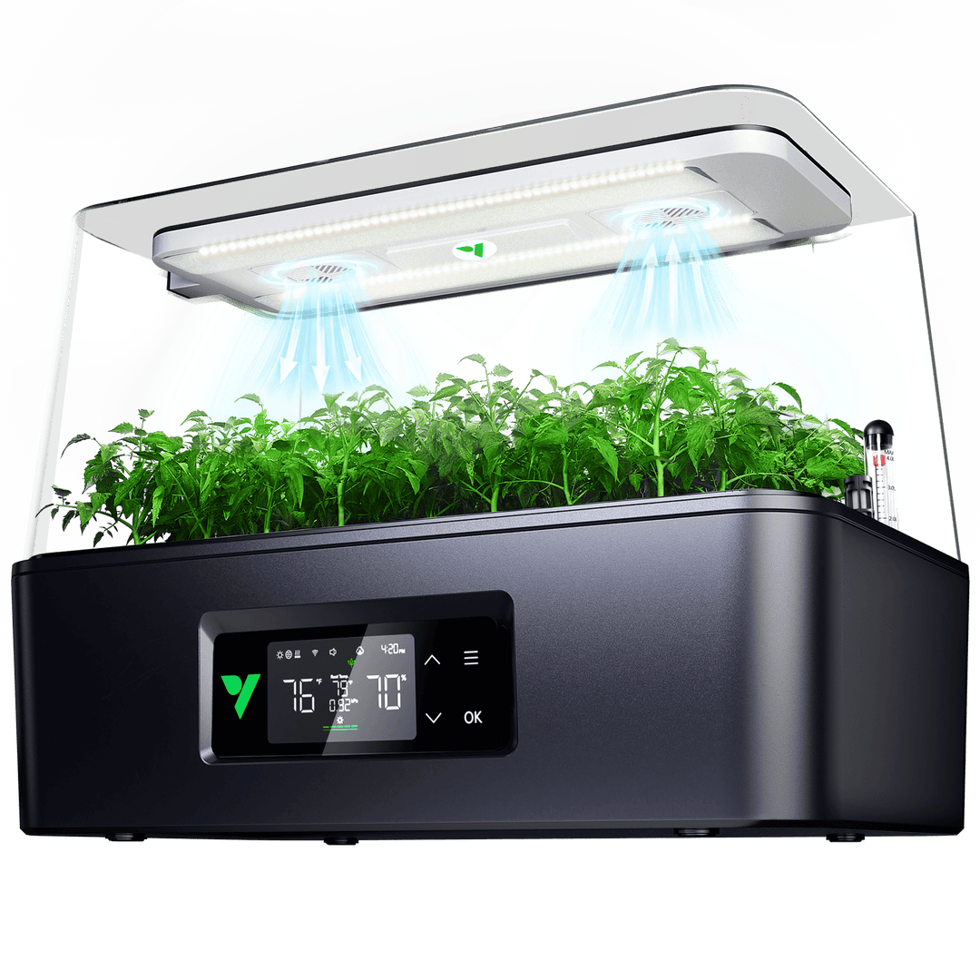 VIVOSUN VSeed S40 smart seedling box with clear dome, LED hood and seedlings in the 40-cell tray